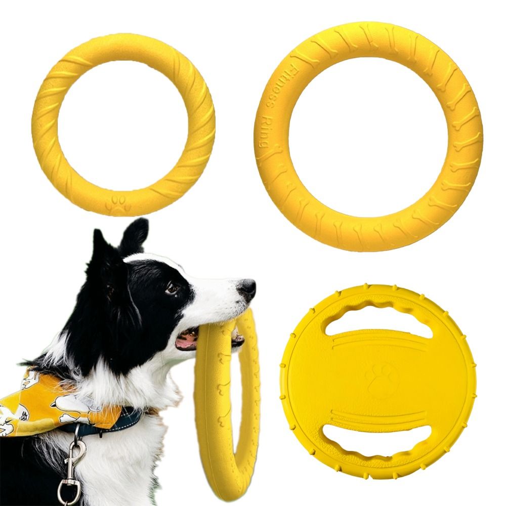 Flying Disc Dog Training Toy - مجموعة ألعاب للعب في الهواء الطلق