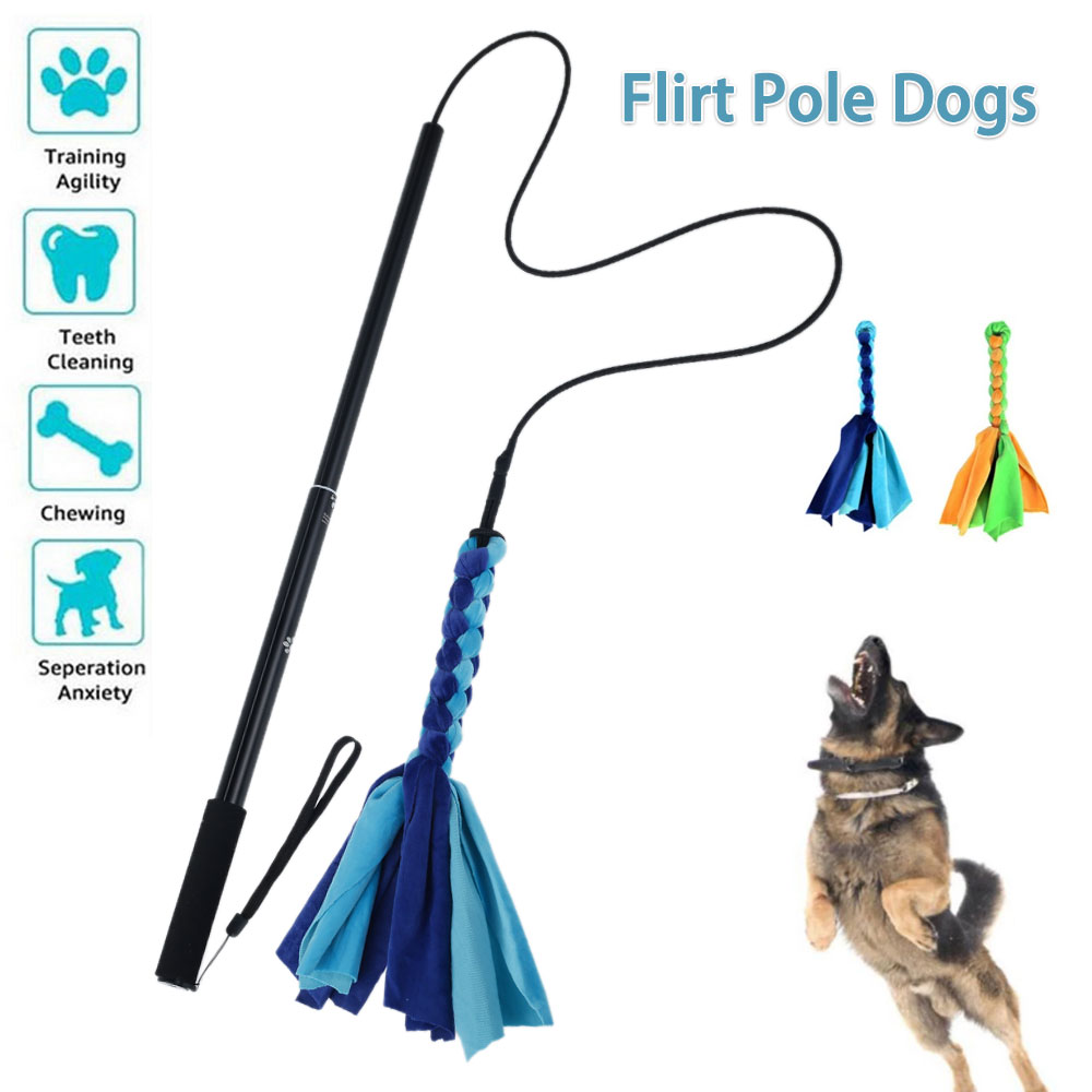 Interactive Squeaky Plush Dog Toy - الكلاب اللعوب إغراء القطب عصا لعب