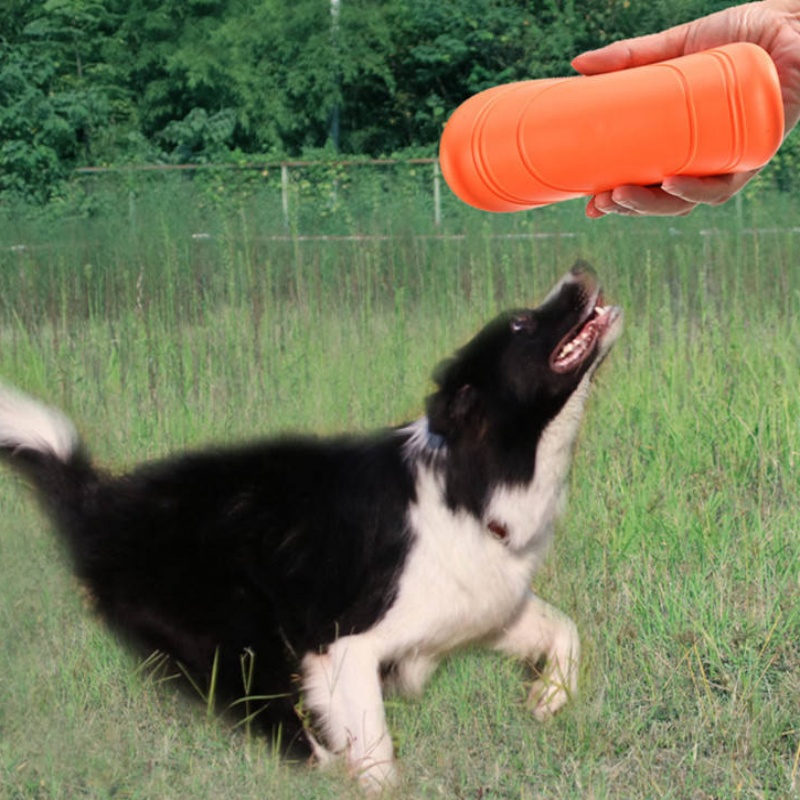 قرص طائر مطاطي ناعم قابل للمضغ - مراجعة Flying Disc Dog Training Toy وسعره