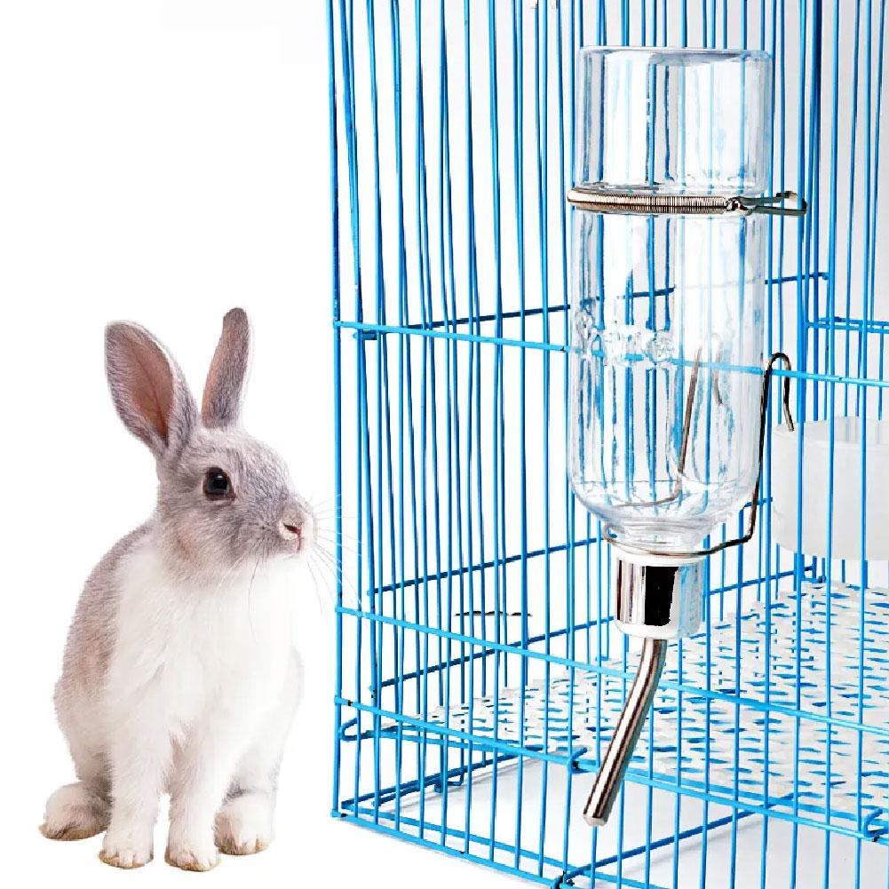 موزع مياه أوتوماتيكي للحيوانات - مراجعة Pet Feeders وسعره