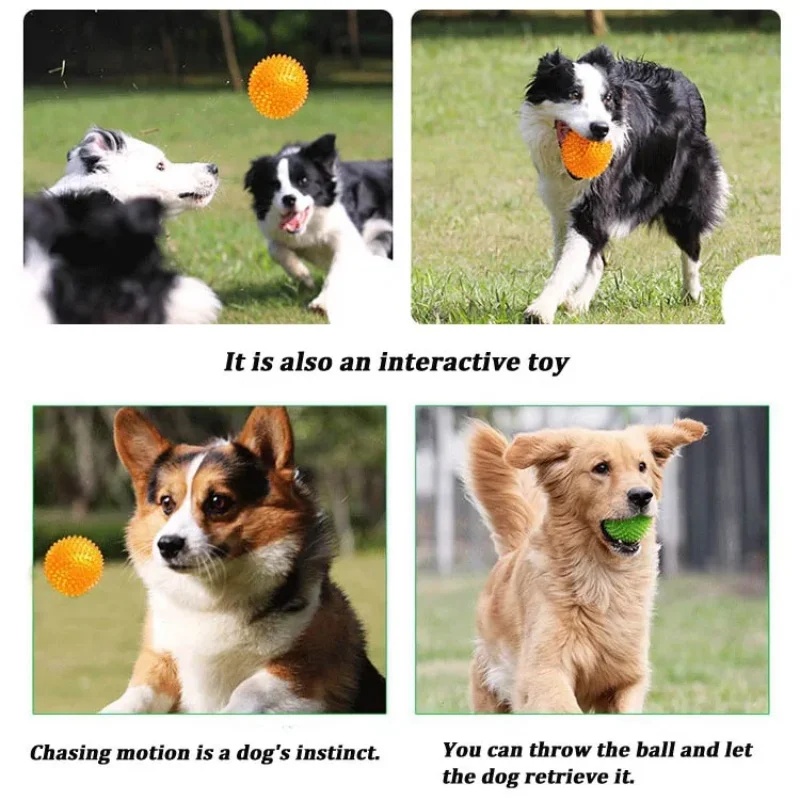 لعبة كرة مطاطية مطعمة بالمسامي - مراجعة Interactive Squeaky Plush Dog Toy وسعره