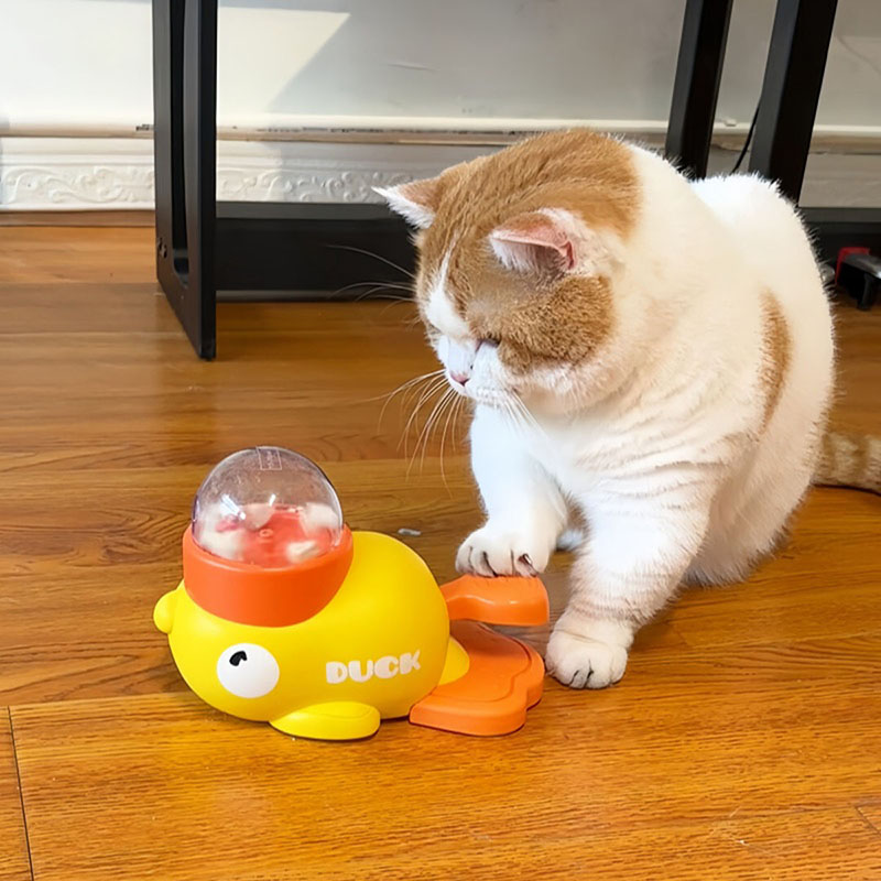 موزع طعام تفاعلي للقطط على شكل - مراجعة Dog Puzzle Feeder Toy وسعره