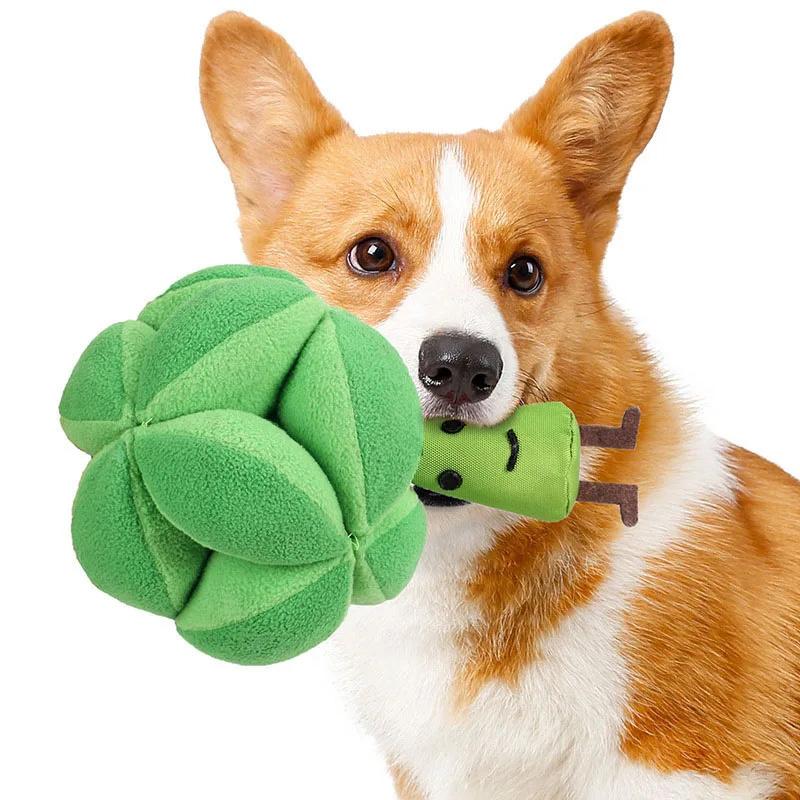 لعبة تدريب الكلاب على تناول ال - مراجعة Dog Puzzle Feeder Toy وسعره