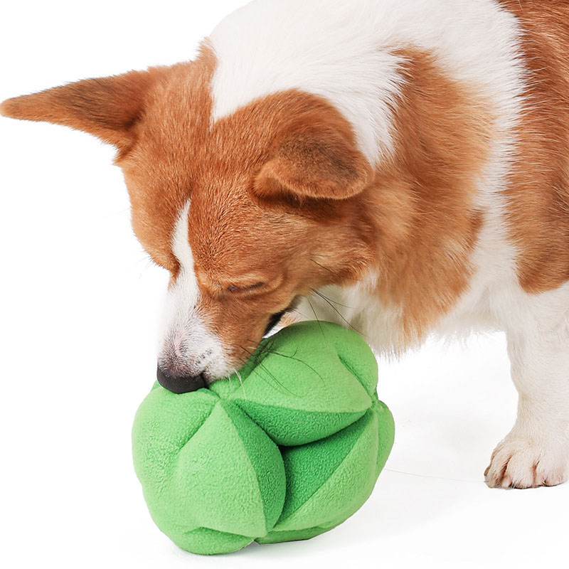لعبة تدريب الكلاب على تناول ال - مراجعة Dog Puzzle Feeder Toy وسعره