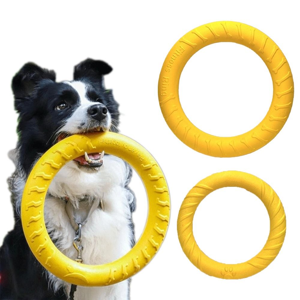 مجموعة ألعاب للعب في الهواء ال - مراجعة Flying Disc Dog Training Toy وسعره