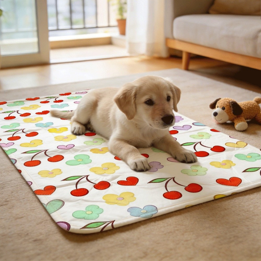 بطانات تدريب قابلة لإعادة الاس - مراجعة Pet Beds وسعره