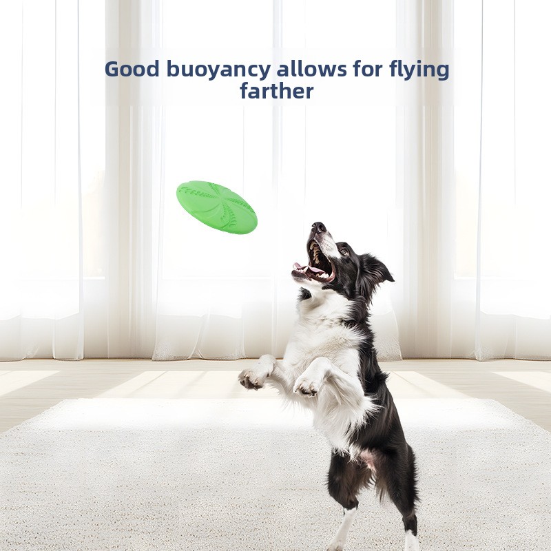 فريسبي تدريب تفاعلي من مادة EV - مراجعة Flying Disc Dog Training Toy وسعره