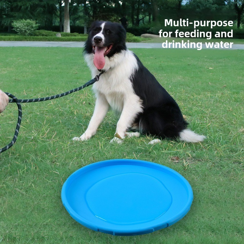 متعدد الألوان فريسبيد لعبة على - مراجعة Flying Disc Dog Training Toy وسعره