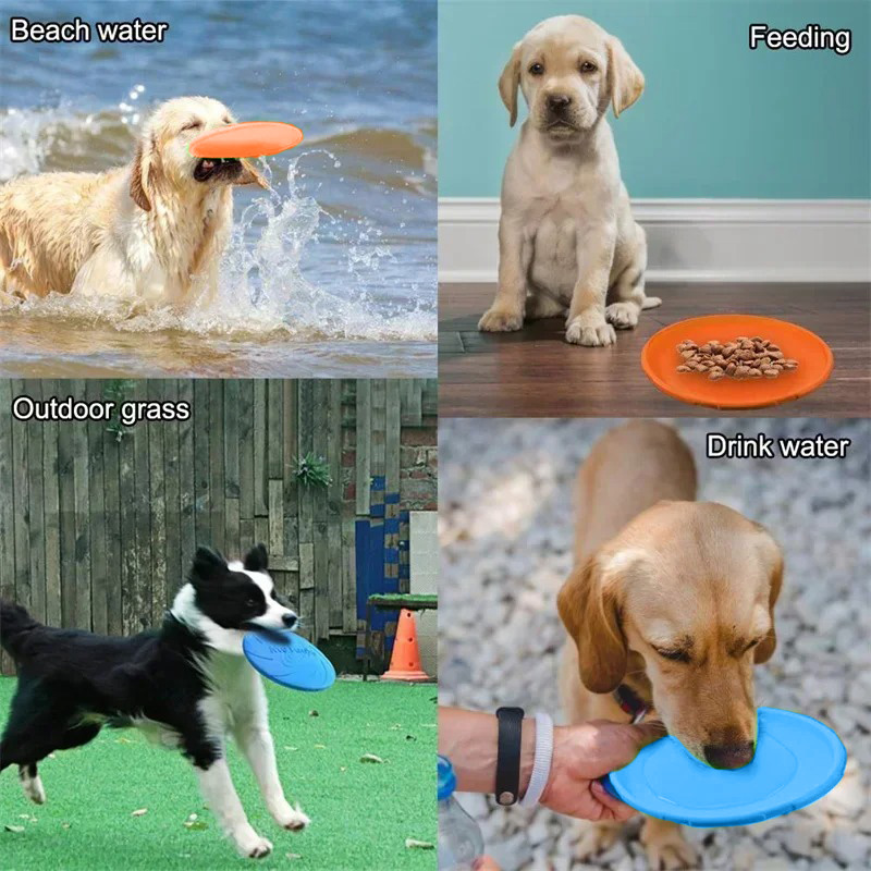 متعدد الألوان فريسبيد لعبة على - مراجعة Flying Disc Dog Training Toy وسعره