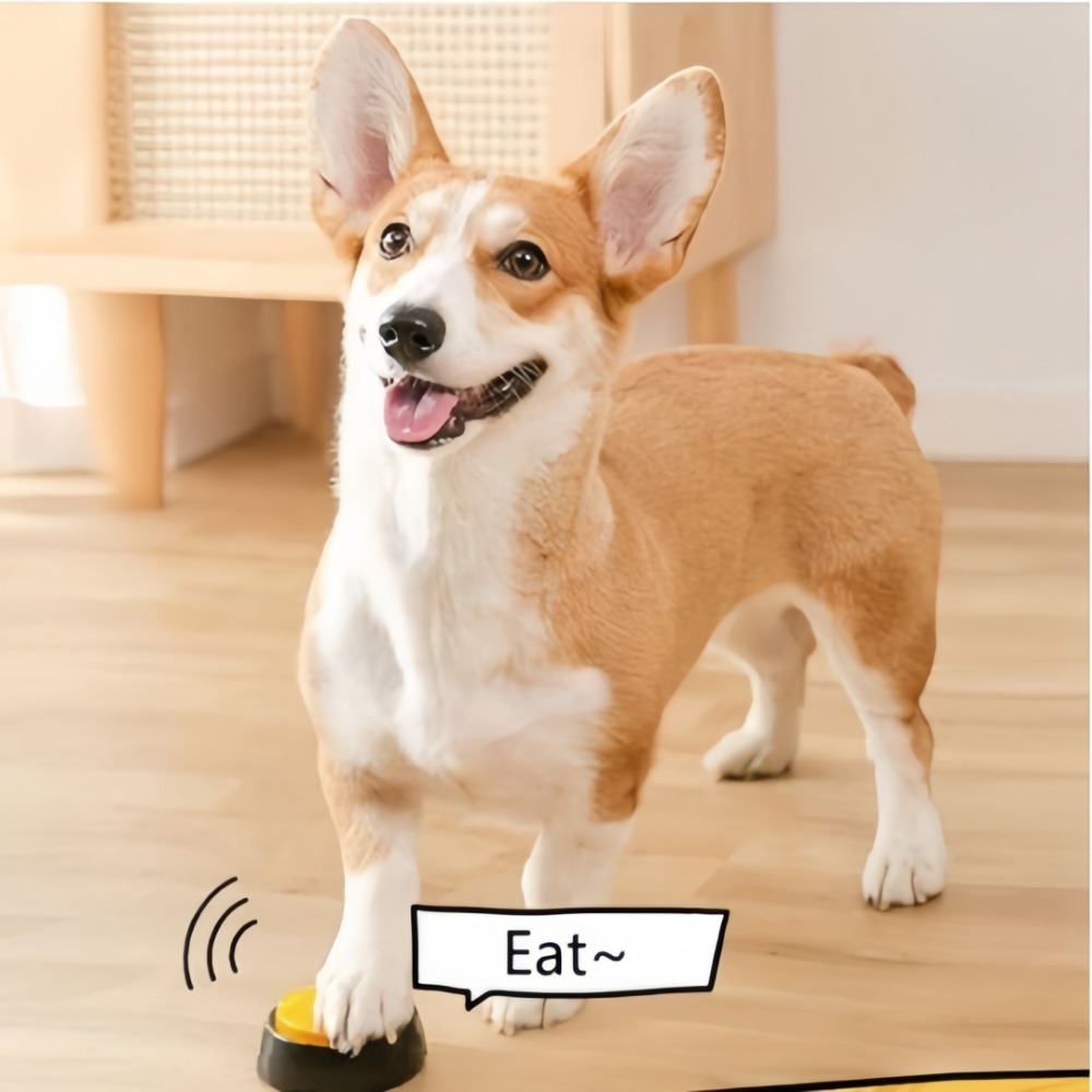 لعبة للكلاب قابلة للتسجيل مع ز - مراجعة Interactive Squeaky Plush Dog Toy وسعره