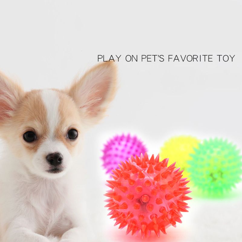 5 قطعة ضوء المتابعة LED دغة ال - مراجعة Interactive Squeaky Plush Dog Toy وسعره