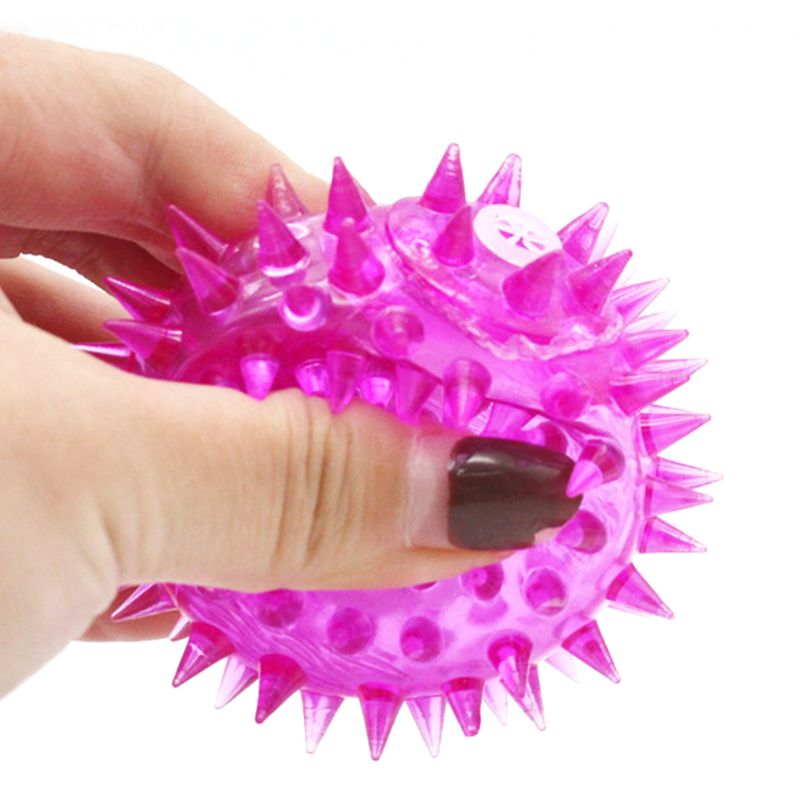 5 قطعة ضوء المتابعة LED دغة ال - مراجعة Interactive Squeaky Plush Dog Toy وسعره