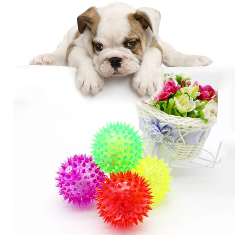 5 قطعة ضوء المتابعة LED دغة ال - مراجعة Interactive Squeaky Plush Dog Toy وسعره