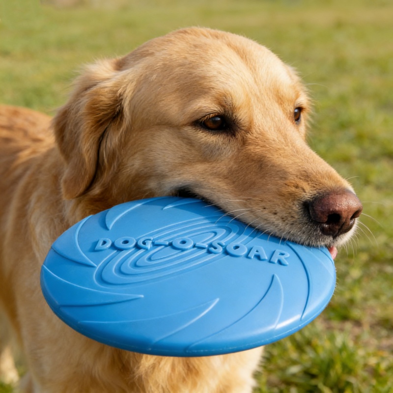 لعبة قرص طائر مصنوعة من السيلي - مراجعة Flying Disc Dog Training Toy وسعره