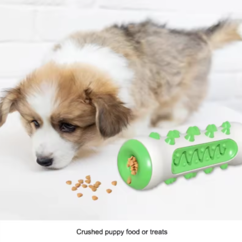 قطعة واحدة من لعبة العض المصنو - مراجعة Teeth Cleaning Dog Chew Bone وسعره