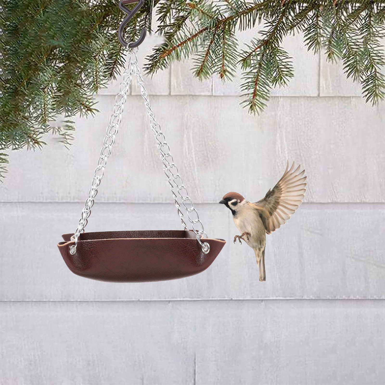 معلف طيور شفاف ومتين بتصميم مع - مراجعة Pet Feeders وسعره