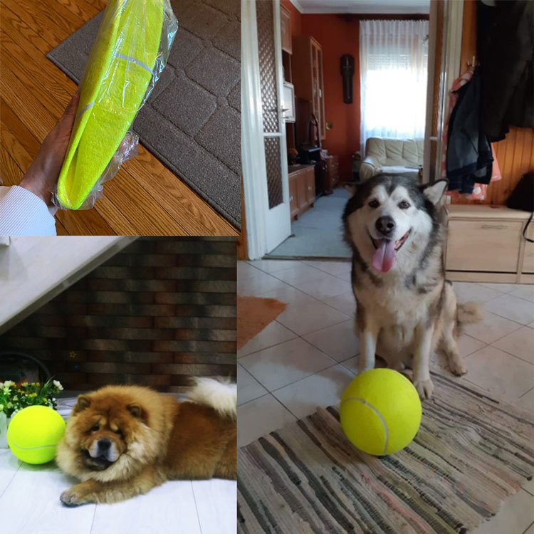 كرة تنس للكلاب مقاس 7/8/9.5 بو - مراجعة Interactive Squeaky Plush Dog Toy وسعره